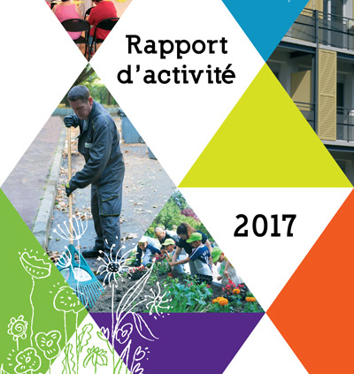 Rapport d'activité 2017