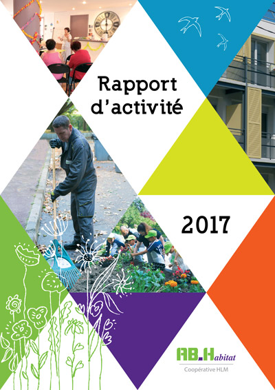 Rapport d'activité 2017