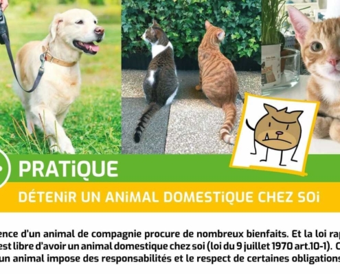 AB-Habitat - Accueil PRATIQUE détenir un animal dom cadrée web 495x400 - AB-Habitat
