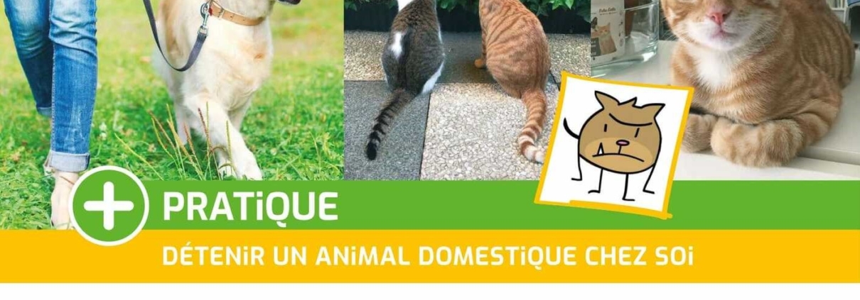 + PRATIQUE : Détenir un animal domestique dans votre logement AB-Habitat