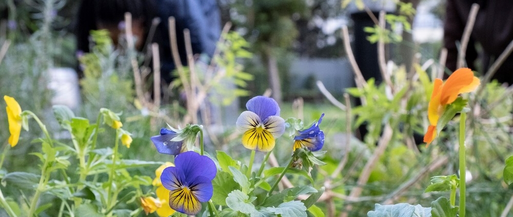 Paroles de gardiens-nes à propos des ateliers Petits & grands jardiniers