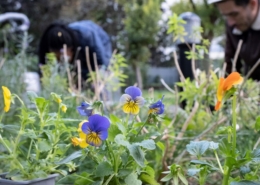 Paroles de gardiens-nes à propos des ateliers Petits & grands jardiniers